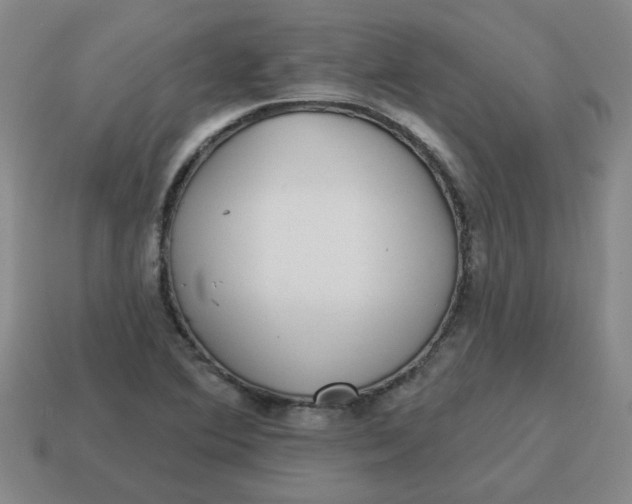 X0000114491364200911091039
