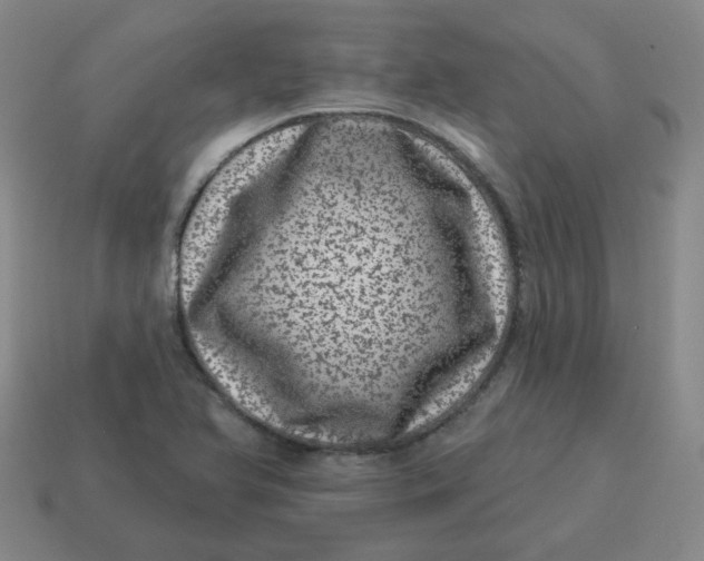 X0000114491366200911091039