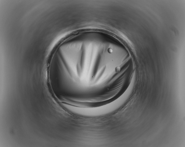 X0000114491368200911091039