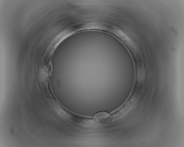 X0000114491369200911091039