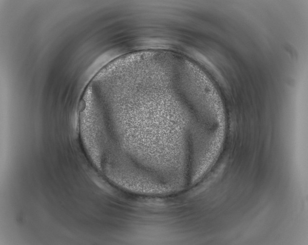 X0000114491370200911091039