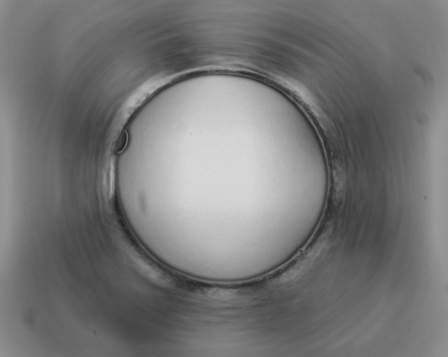 X0000114491371200911091039
