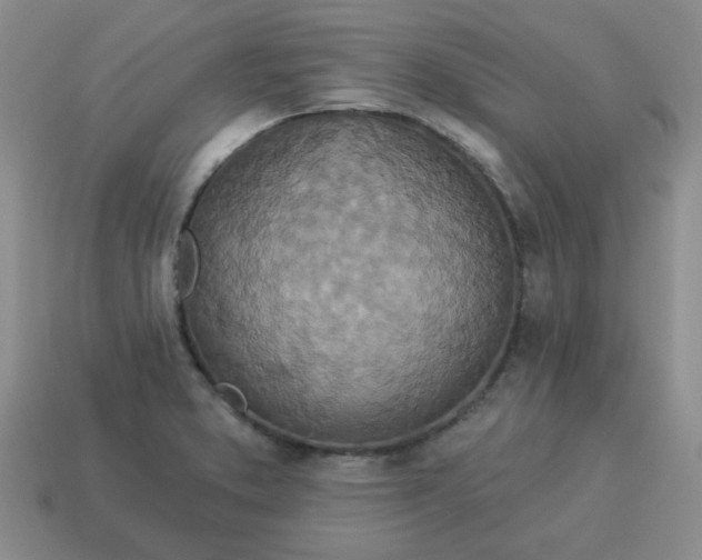 X0000114491373200911091039