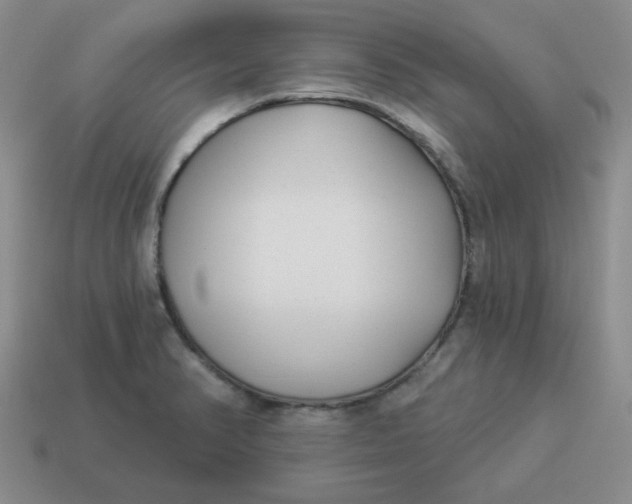 X0000114491374200911091039