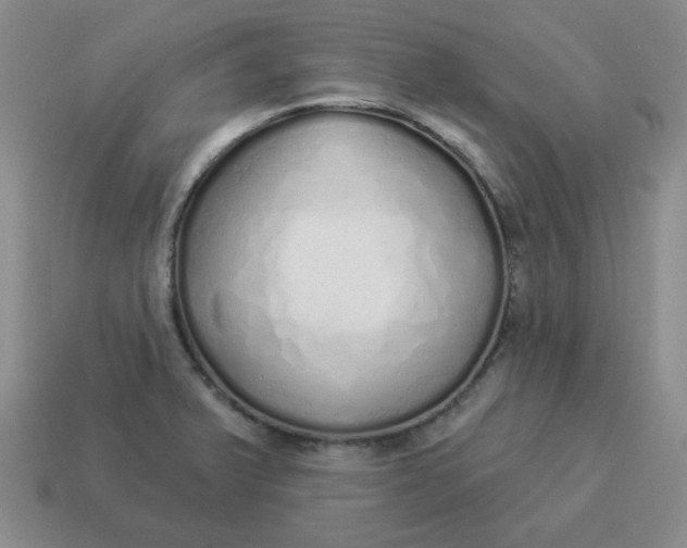X0000114491375200911091039
