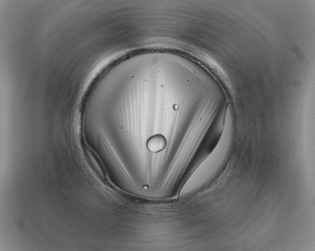 X0000114491376200911091039