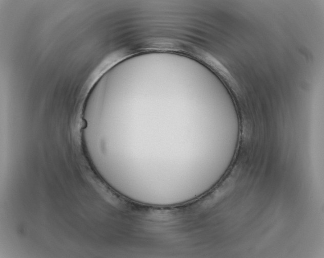 X0000114491378200911091039
