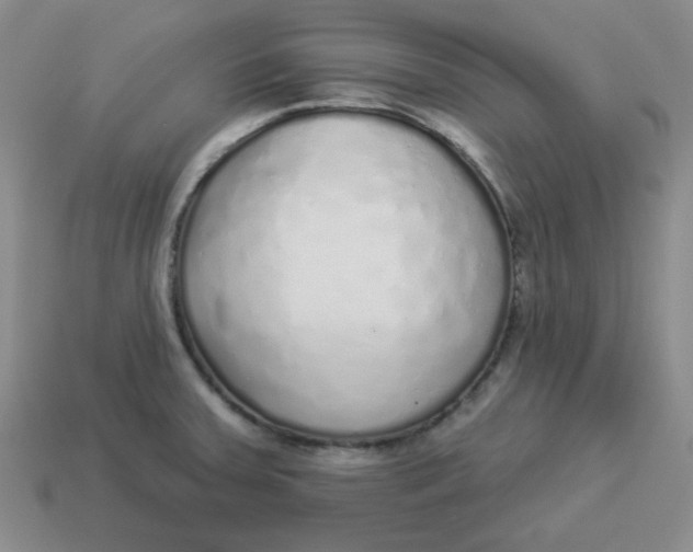 X0000114491379200911091039