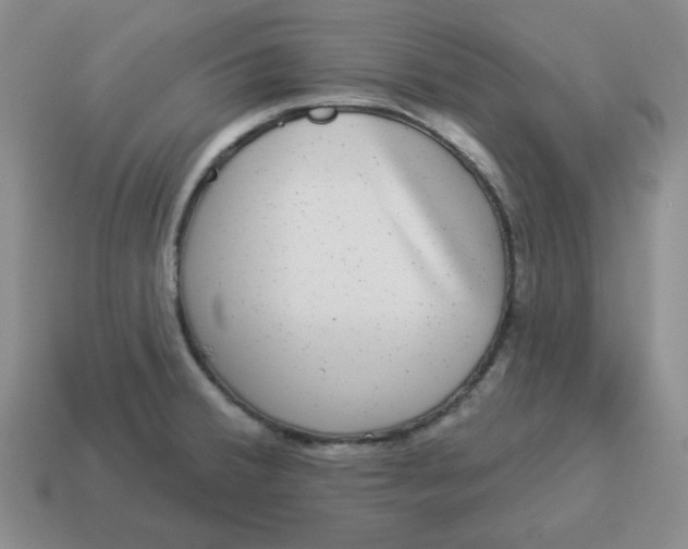 X0000114491380200911091039