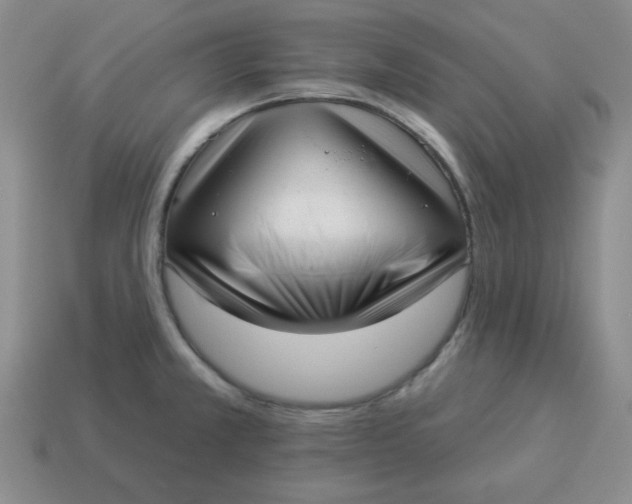 X0000114491381200911091039