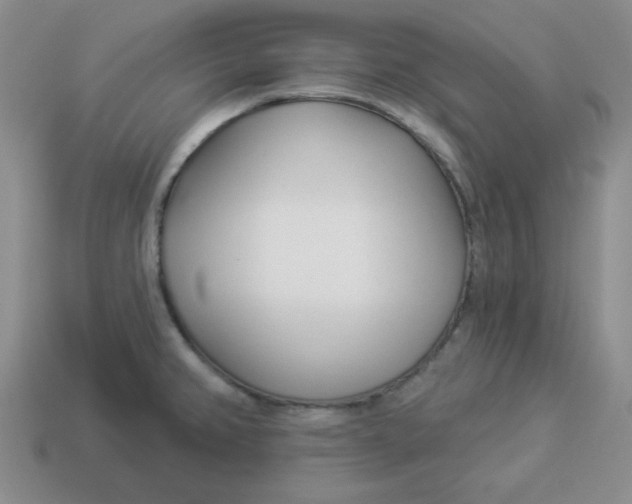 X0000114491382200911091039