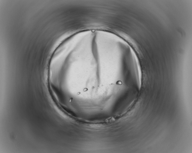X0000114491383200911091039