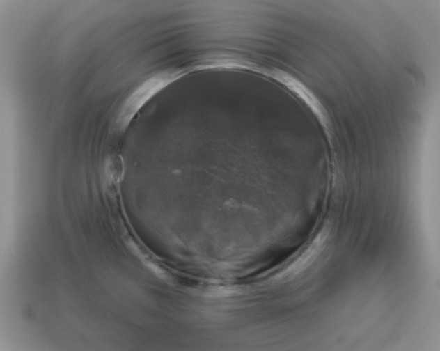 X0000114491385200911091039