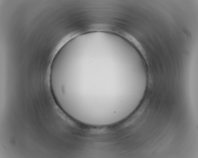 X0000114491386200911091039