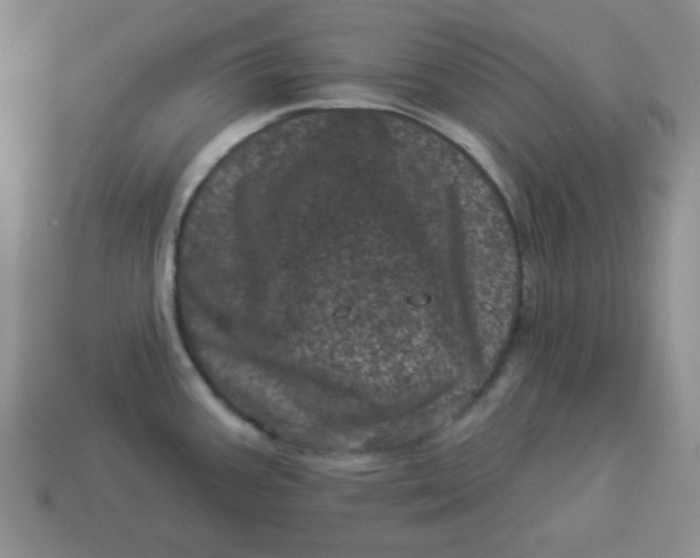 X0000114491387200911091039