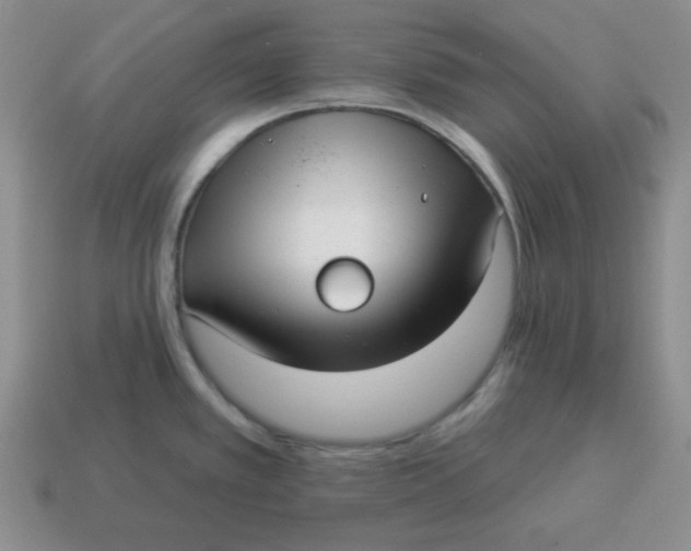 X0000114491389200911091039