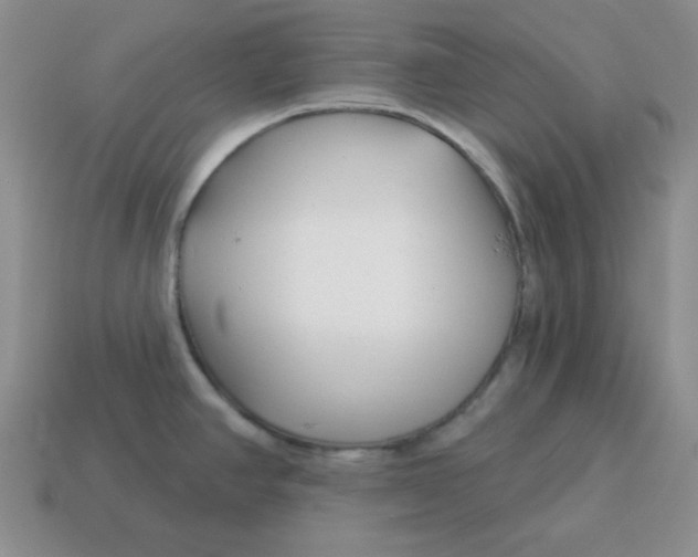 X0000114491390200911091039