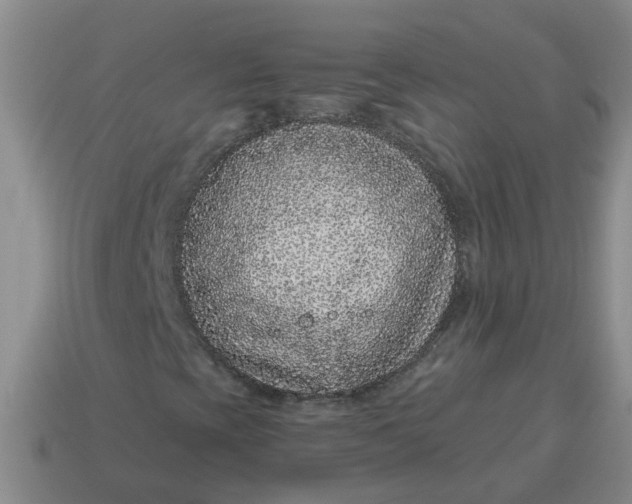 X0000114491393200911091038