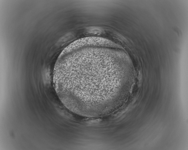 X0000114491394200911091038