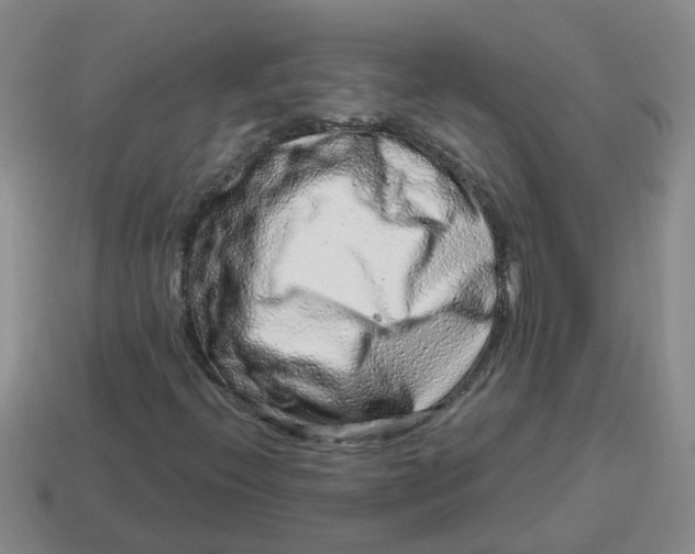 X0000114491396200911091038