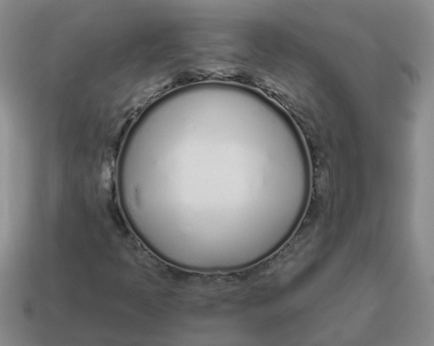 X0000114491397200911091038