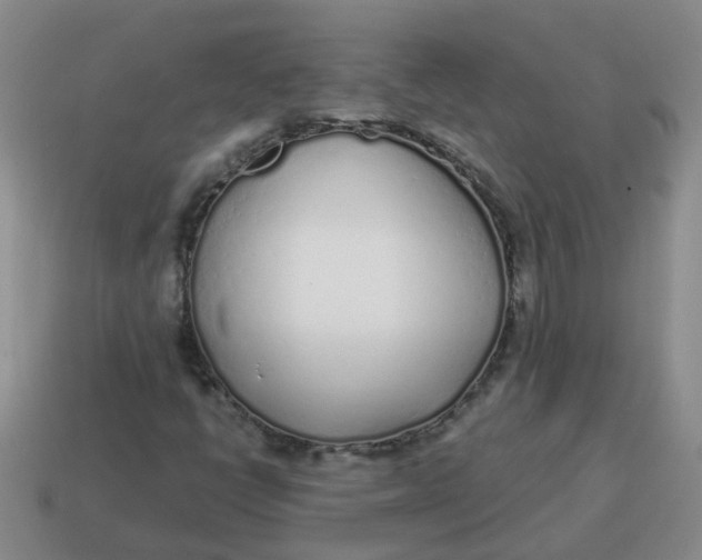 X0000114491398200911091038
