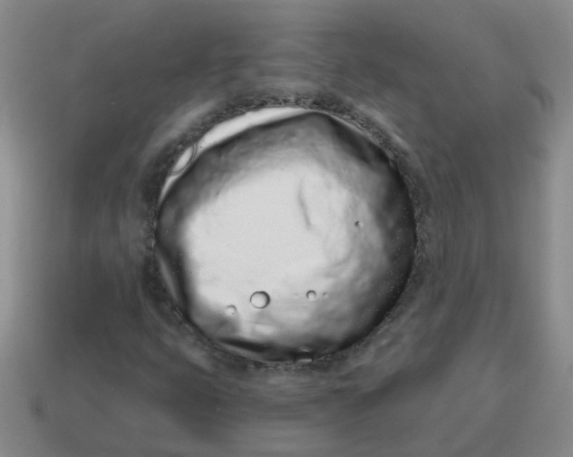 X0000114491399200911091038