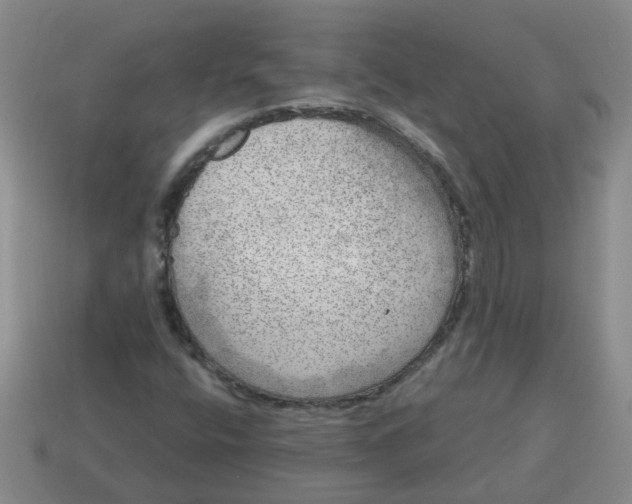 X0000114491400200911091038