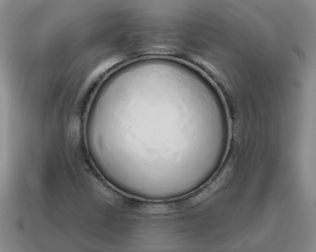 X0000114491402200911091038