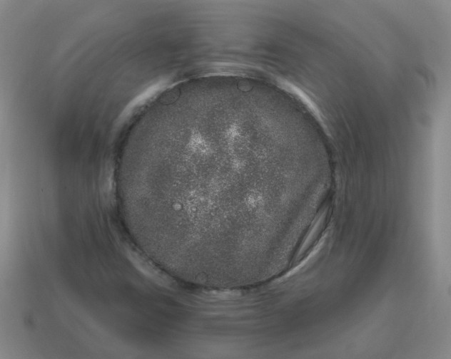 X0000114491403200911091038