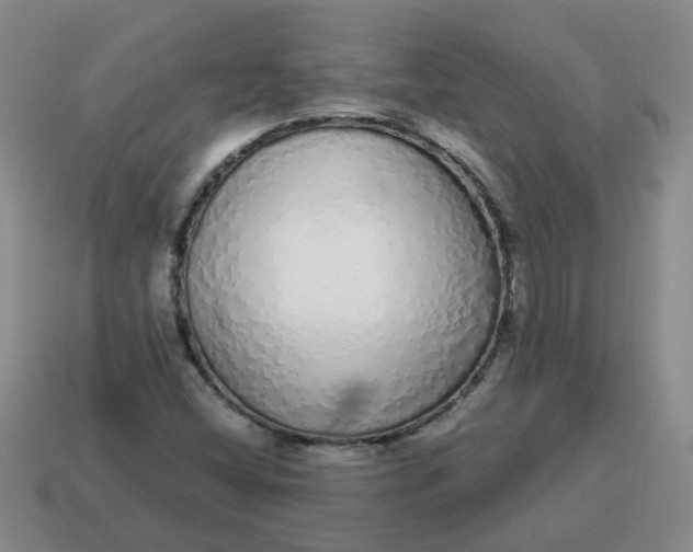 X0000114491404200911091038