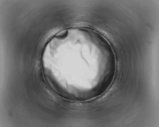 X0000114491405200911091038