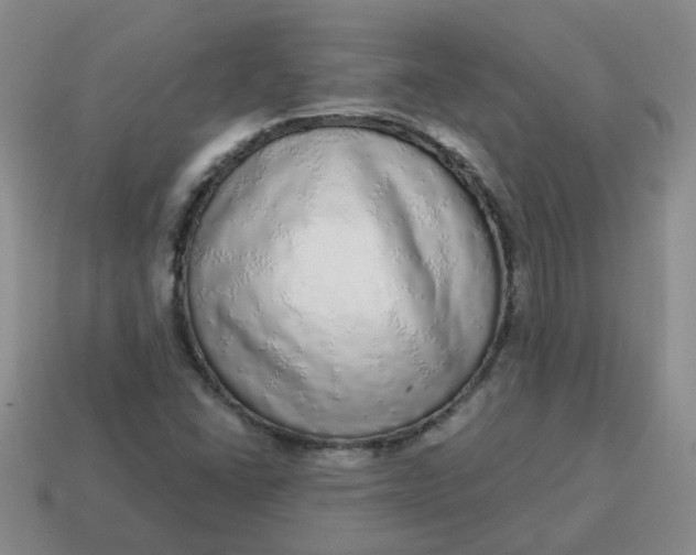 X0000114491406200911091038