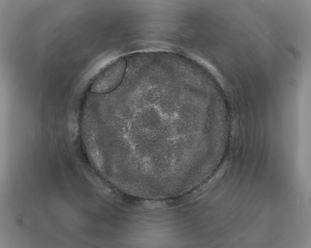 X0000114491407200911091038