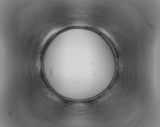 X0000114491408200911091038