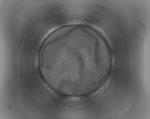 X0000114491409200911091038