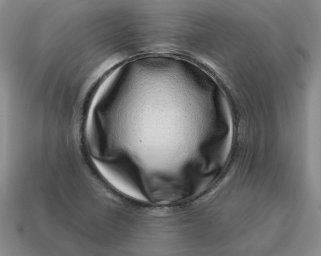 X0000114491410200911091038