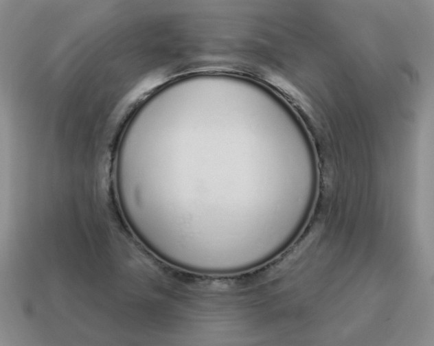 X0000114491411200911091039
