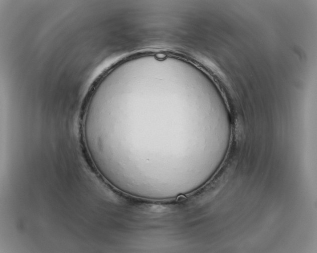 X0000114491412200911091039