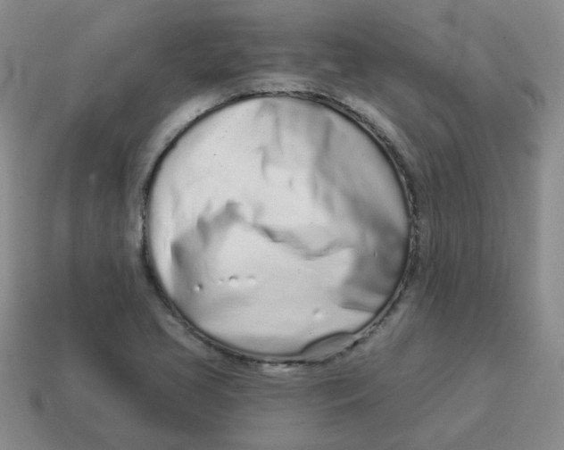 X0000114491413200911091039