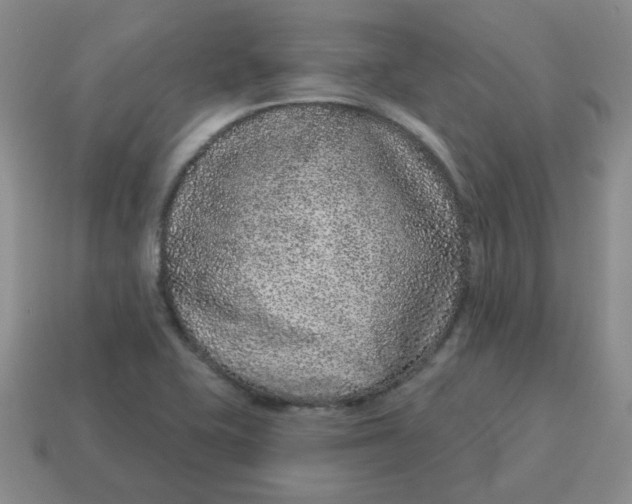 X0000114491415200911091039