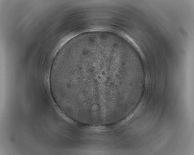 X0000114491417200911091039