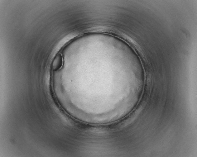 X0000114491418200911091039