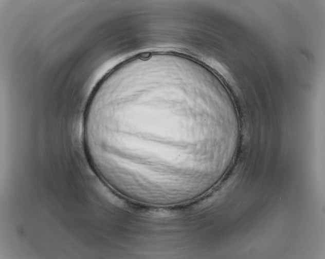 X0000114491420200911091039