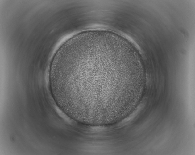 X0000114491421200911091039