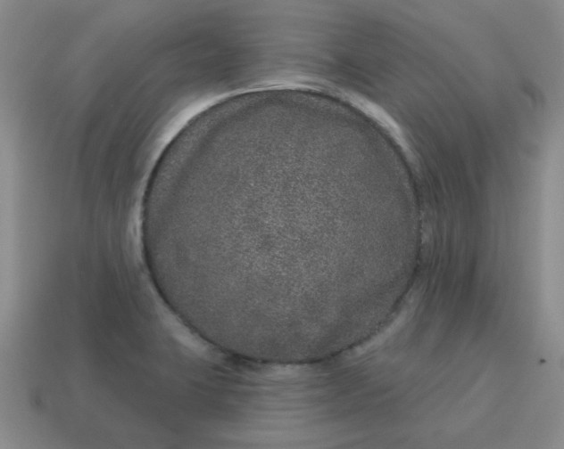 X0000114491423200911091039