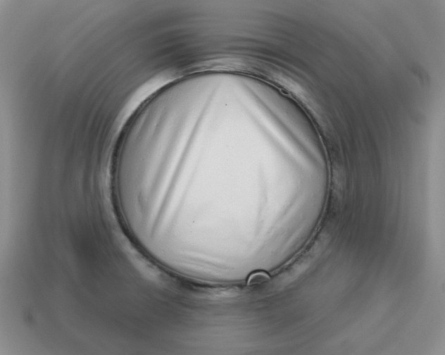 X0000114491426200911091039