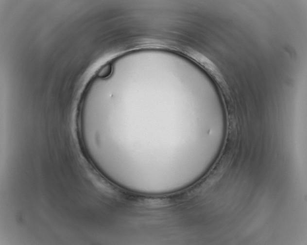 X0000114491427200911091039