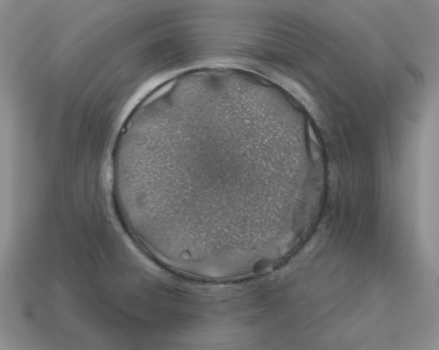 X0000114491428200911091039