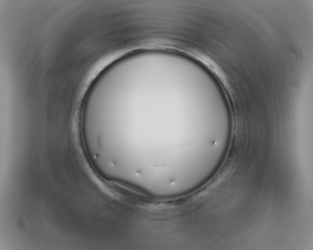 X0000114491429200911091039